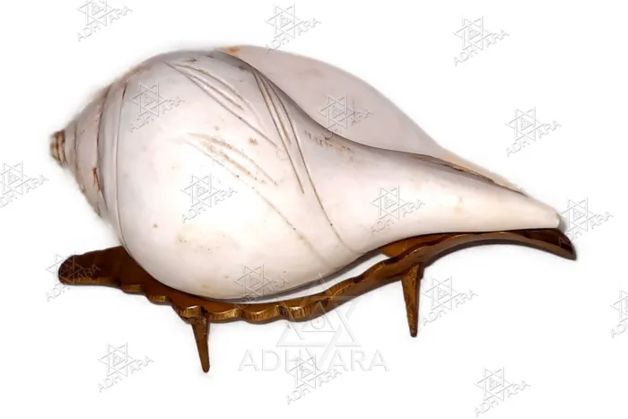 Brass SHANKHA STAND 5.3” - Image 6