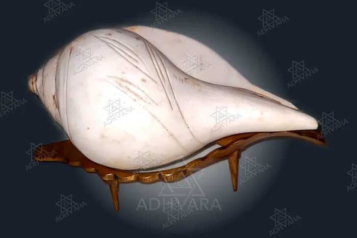 Brass SHANKHA STAND 5.3” - Image 7